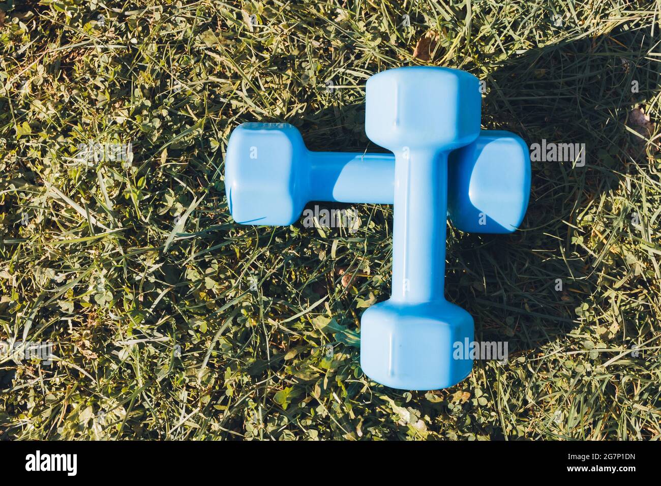 Two blue dumbbells on the grass in the park. Healthy life. Fitness concept Stock Photo