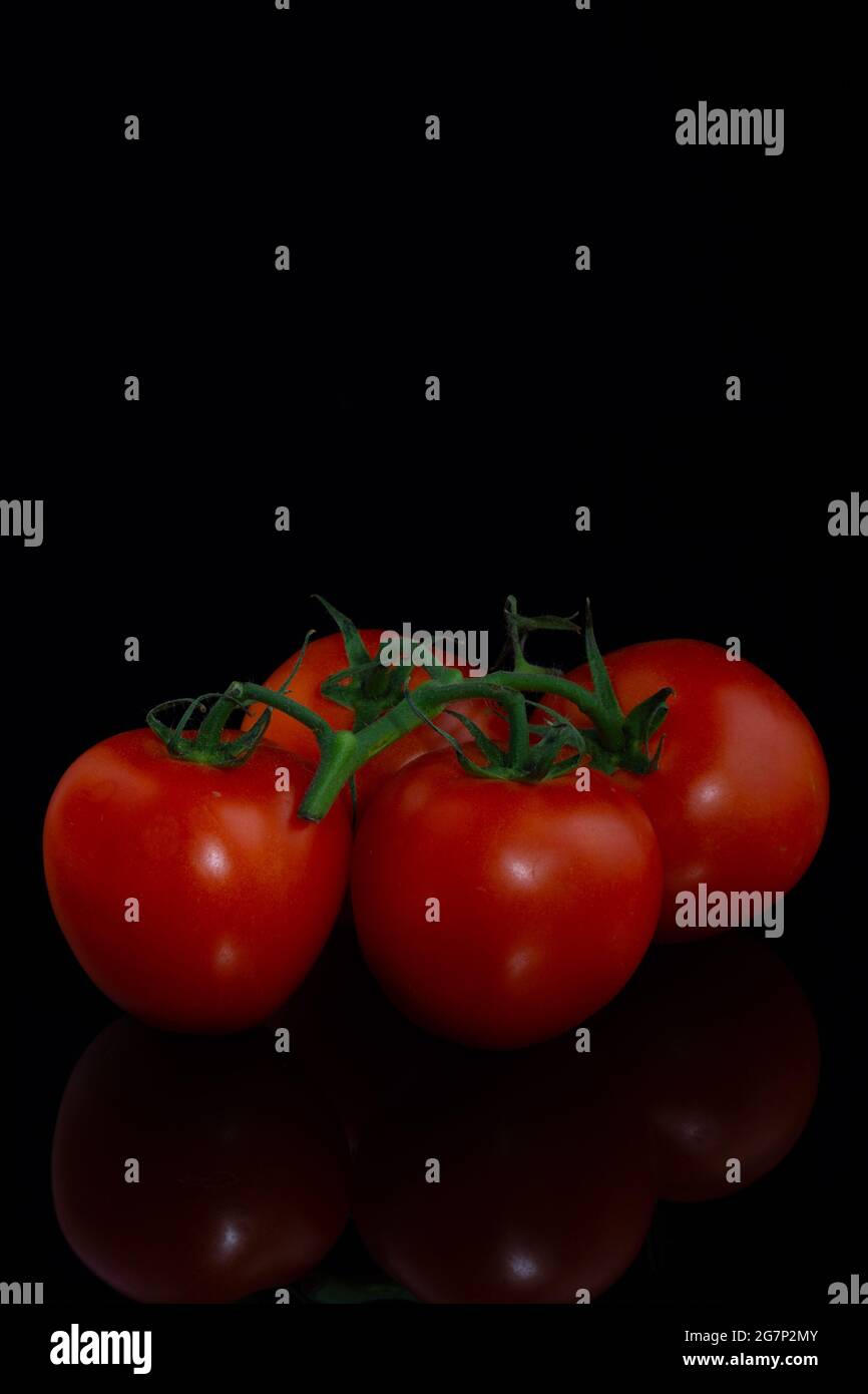 bunch of large red tomatoes on a black background with reflection ...