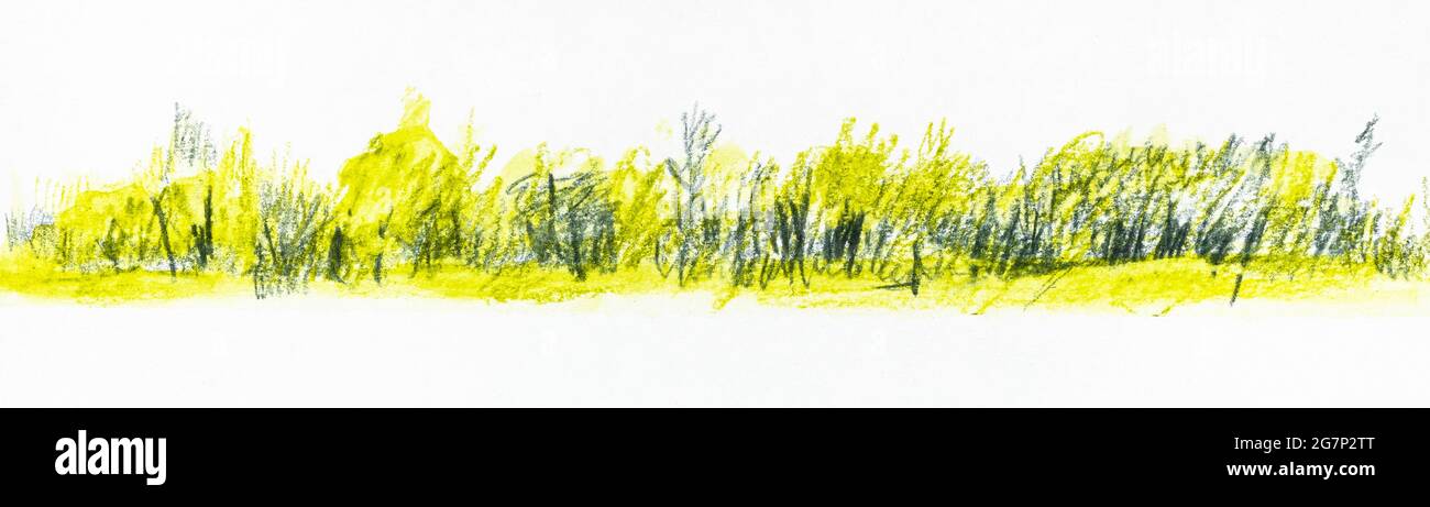 panoramic view of undergrowth on summer day hand-drawn by watercolor pencils on white textured paper Stock Photo