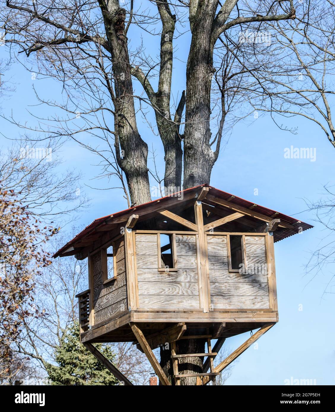 Large tree house made of wood attached high up on a tree. Stock Photo