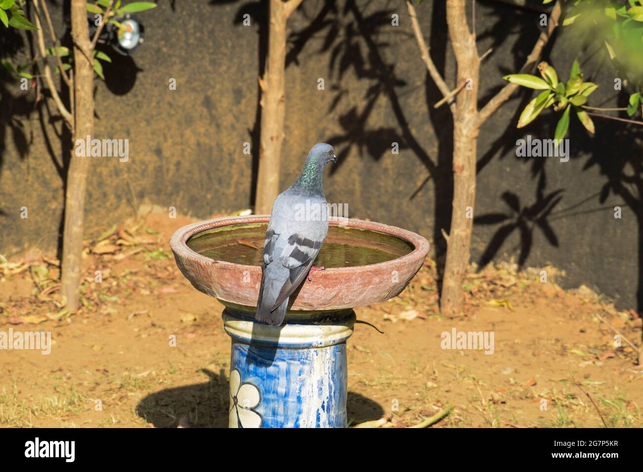 Earthen pot india hires stock photography and images Alamy