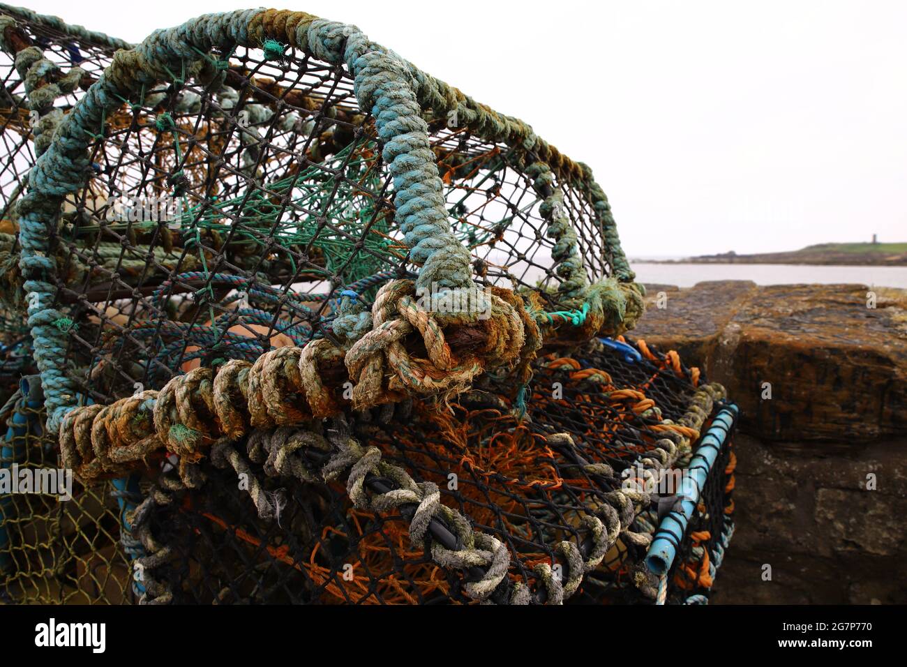 A lobster trap or lobster pot is a traps lobsters or crayfish.In Scotland  word creel is used to a device used to catch lobsters and other crustaceans  Stock Photo - Alamy