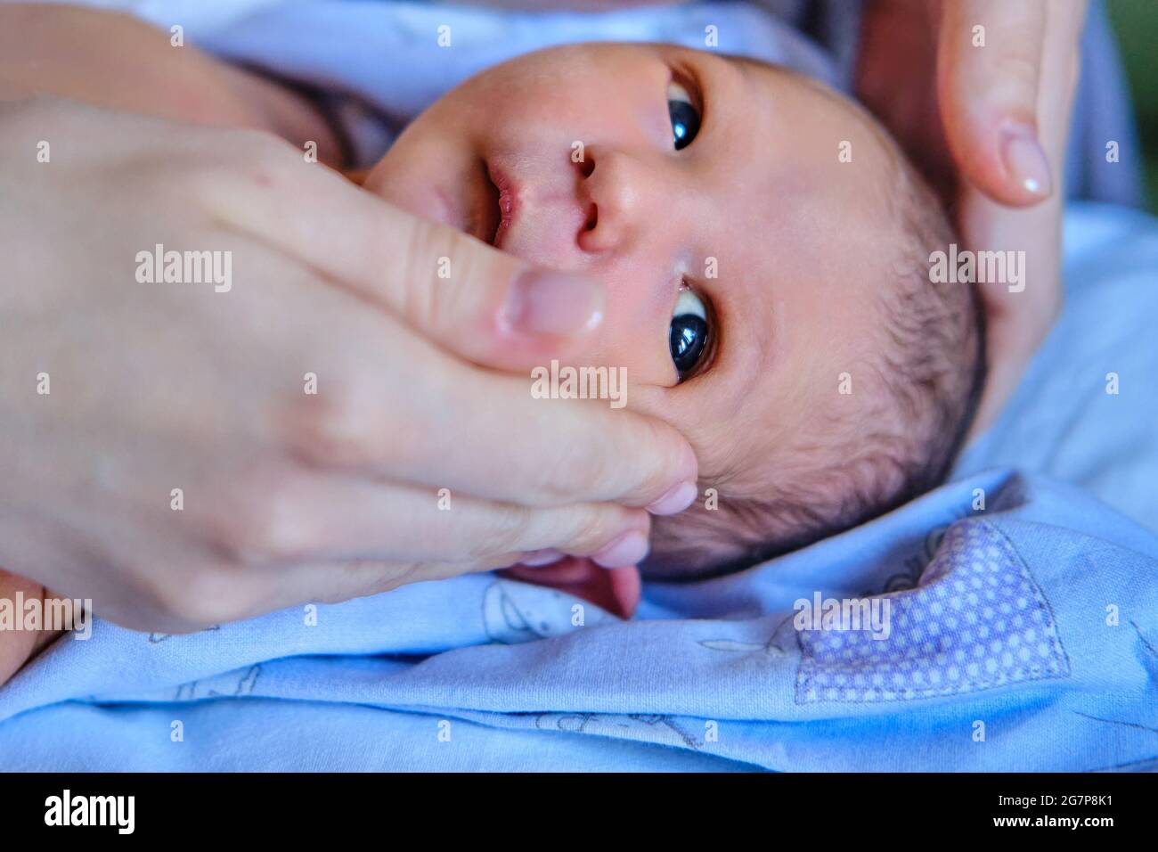 Mother hands are stroking a newborn baby with a maternity hospital