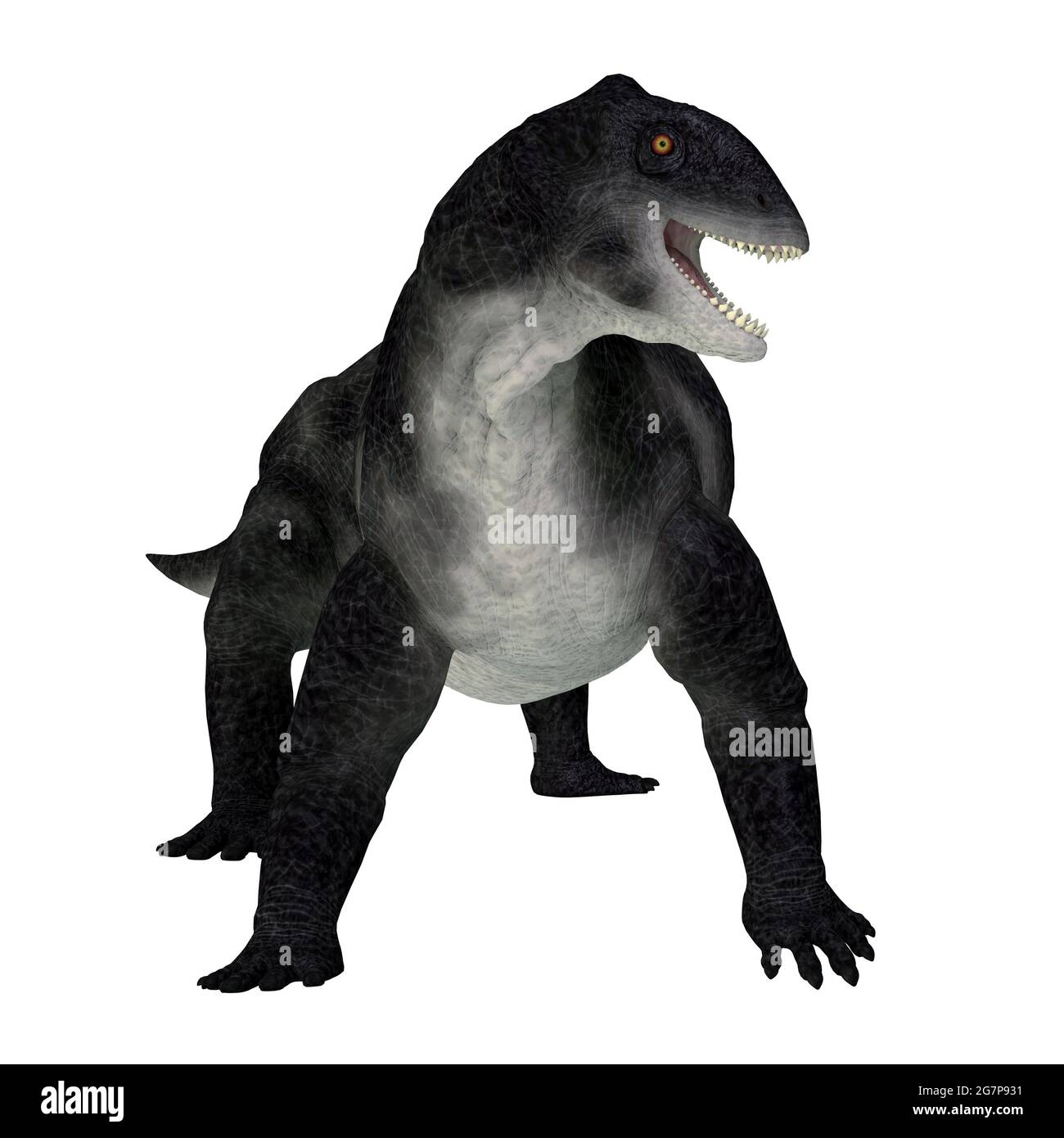 Delphinognathus was a synapsid herbivorous animal that lived in South Africa during the Permian Period. Stock Photo