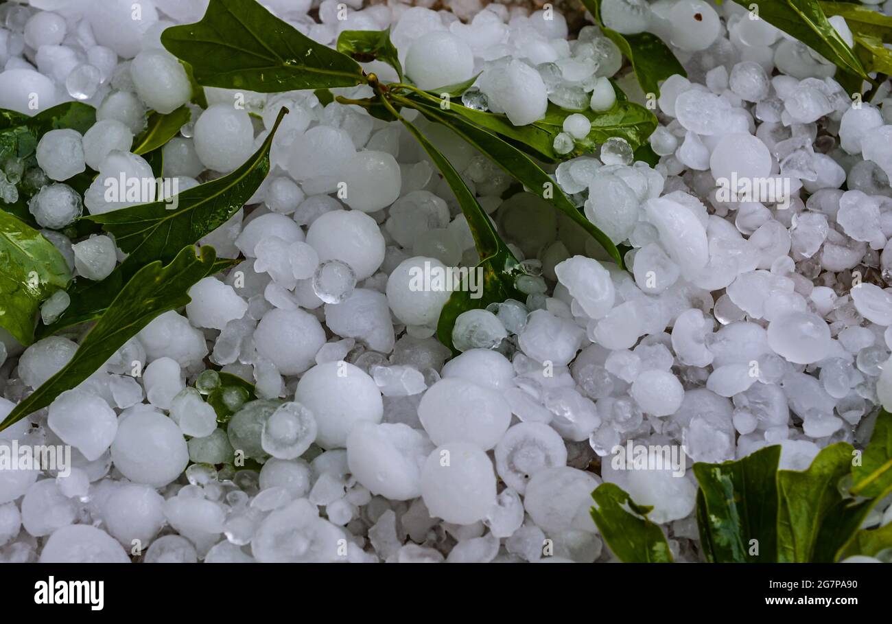 Extreme weather hailstorm with hail and leaves.  Icy hailstones after damaging hailstorm. Stock Photo