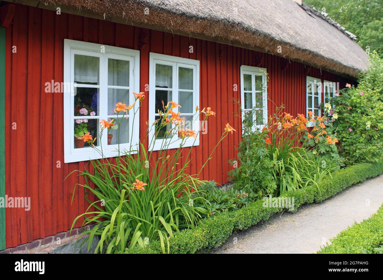 A traditional old thatched red Swedish cottage at Skansen in Stockholm ...