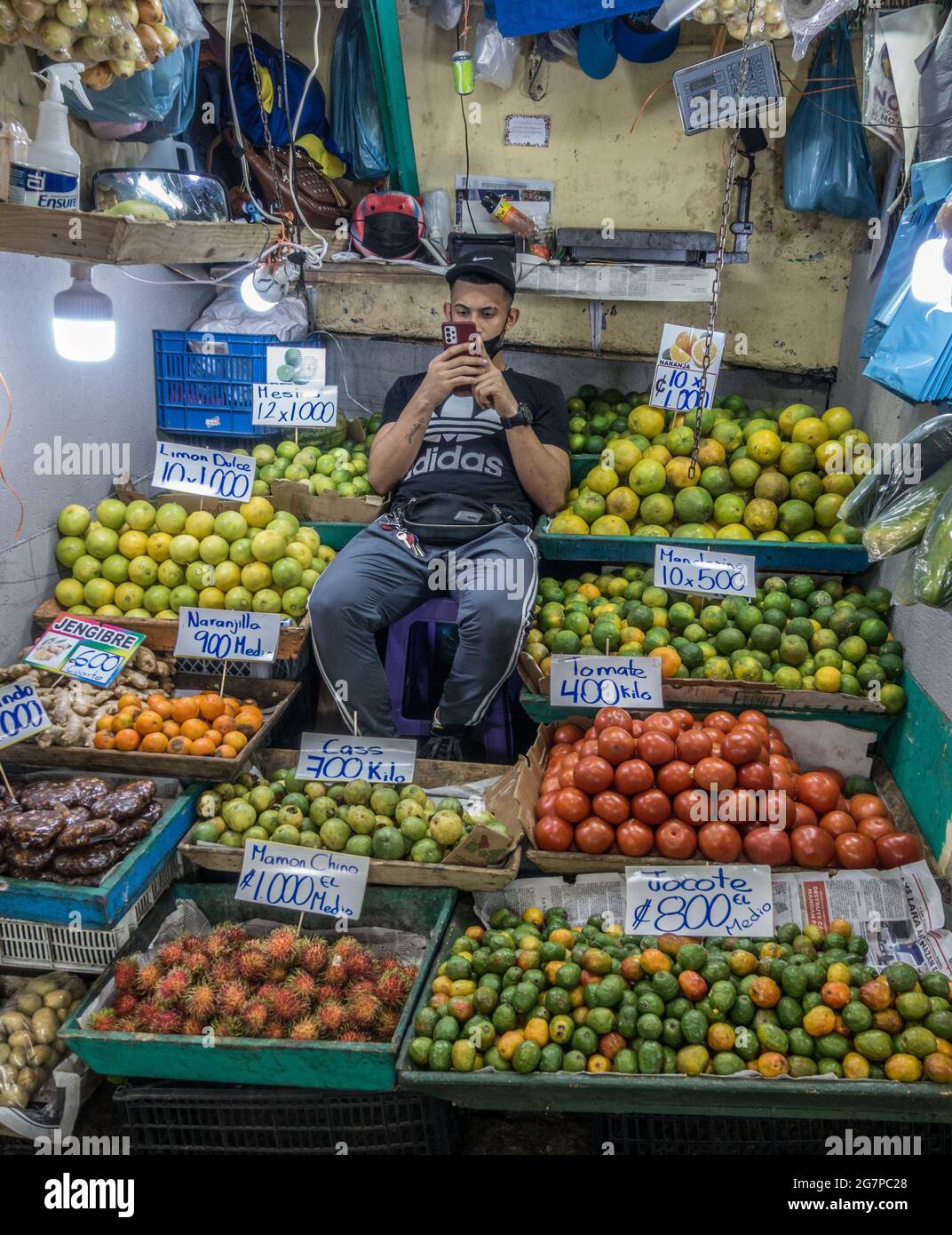 Distracted vendor looking at his smart phone in his fruit stand in San Jose, Costa Rica. Stock Photo
