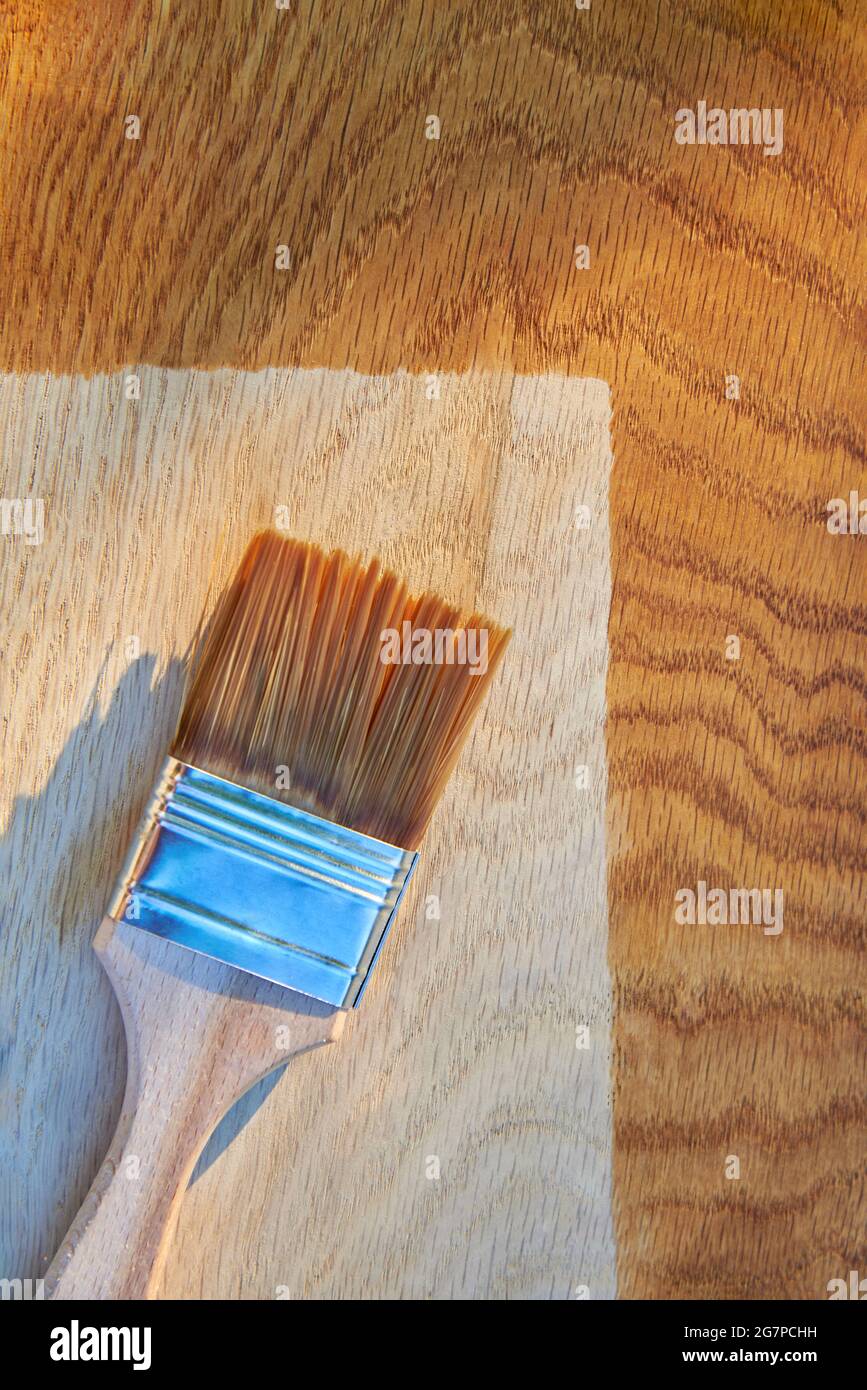 Painting a wooden surface with varnish, a brush on an oak board, top view,  copy space Stock Photo - Alamy