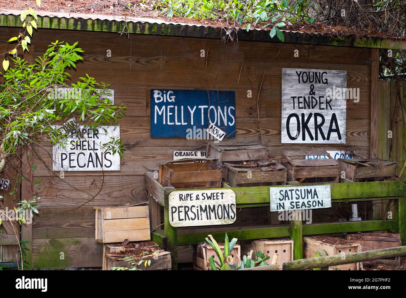 Roadside farmers market with rustic, quaint signs. Stock Photo