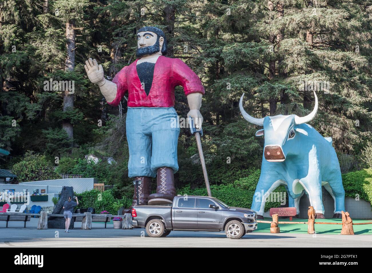 A giant statue of Paul Bunyan and Babe the blue ox at trees of mystery, a roadside tourist attraction in Klamath, Northern California. Stock Photo