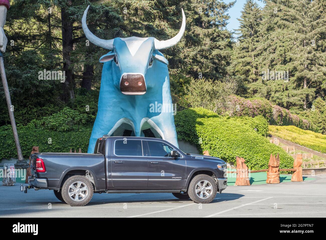 A statue of Babe the blue ox, a giant ox from American folklore, at a roadside tourist attraction in Northern California. Stock Photo