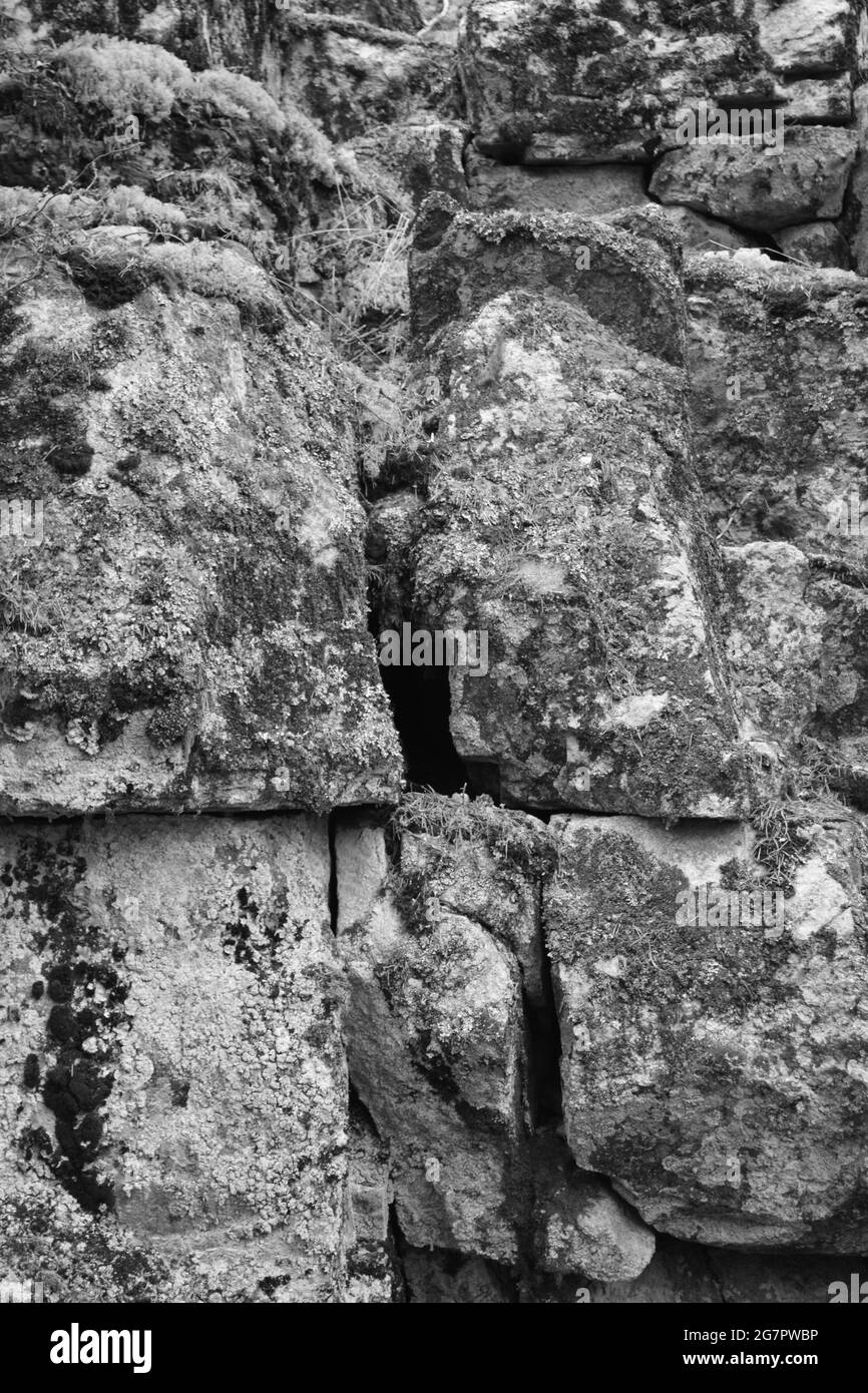 Gray rocks moss Black and White Stock Photos & Images - Alamy