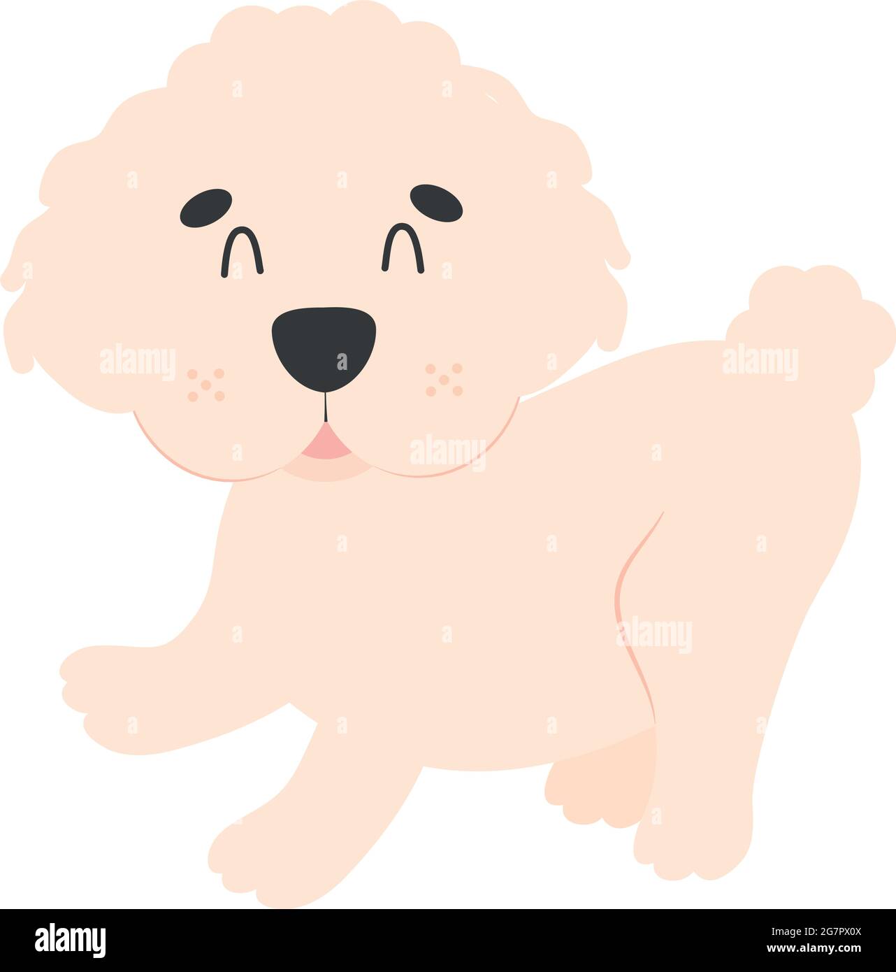 cute poodle icon over white background Stock Vector Image & Art - Alamy