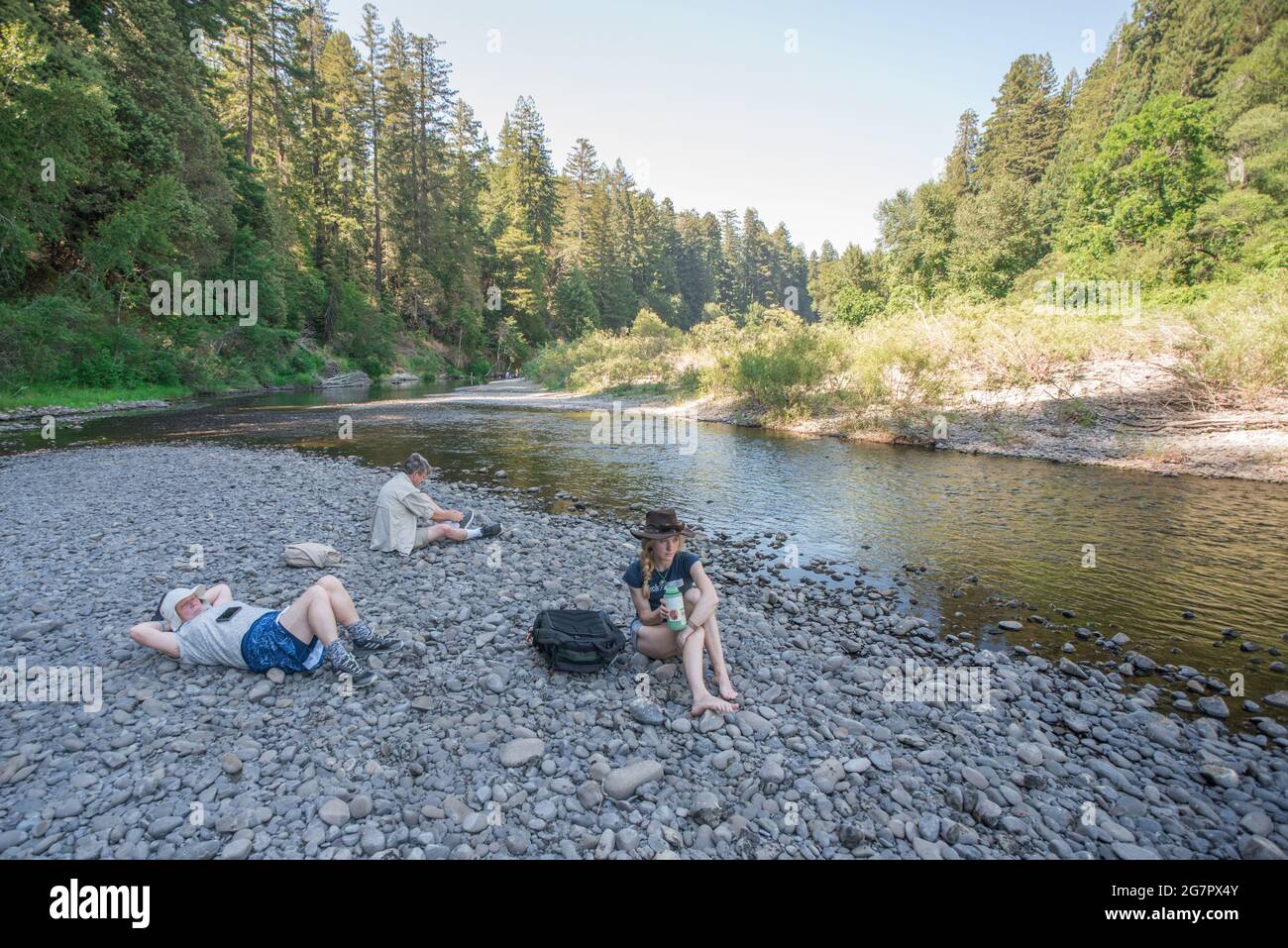 A family rests along the river in humboldt redwoods state park surrounded by endangered redwood trees (Sequoia sempervirens) in Northern California. Stock Photo