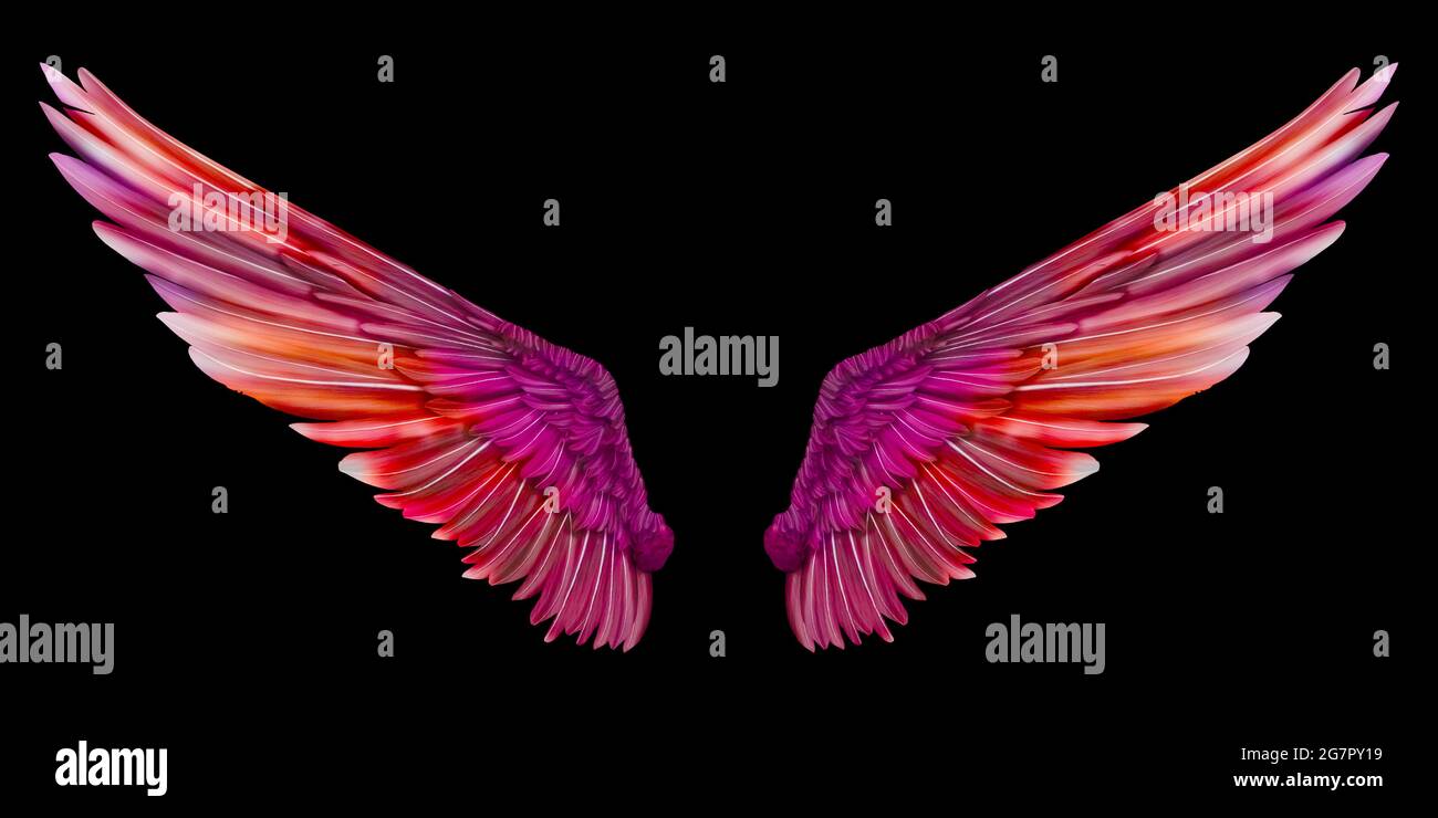 Black angel, big black wings, fantasy. AI Stock Illustration