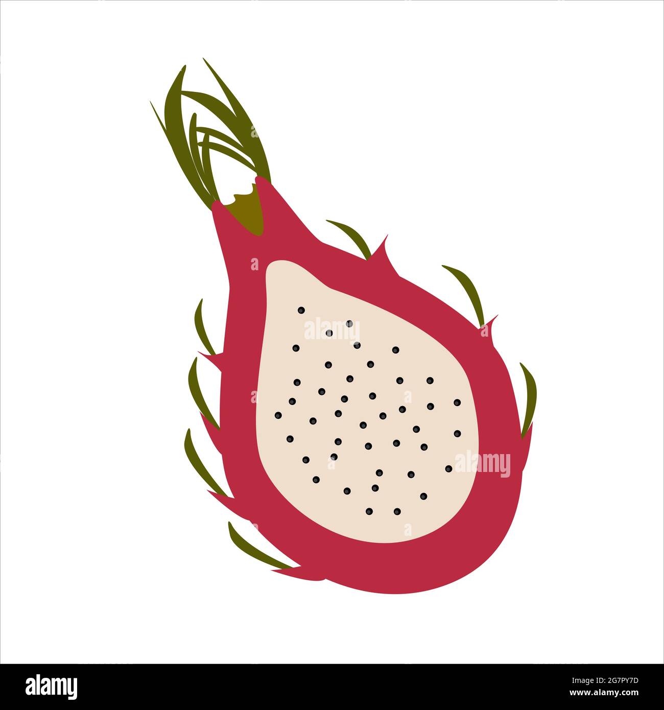 fruit dragon isolated on white background Stock Vector