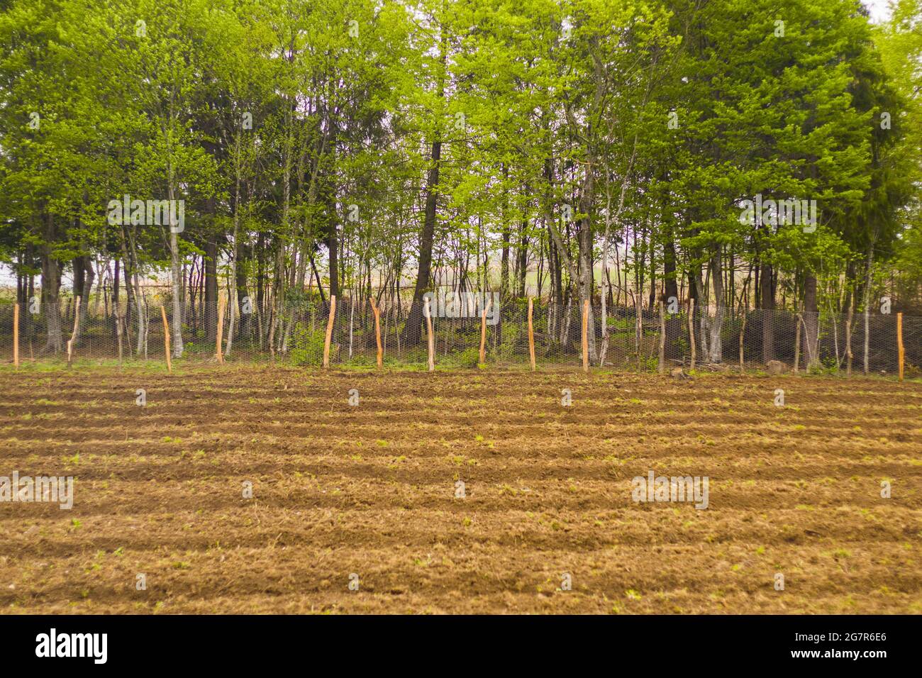 Agricultural land with trees in Stock Photo Alamy