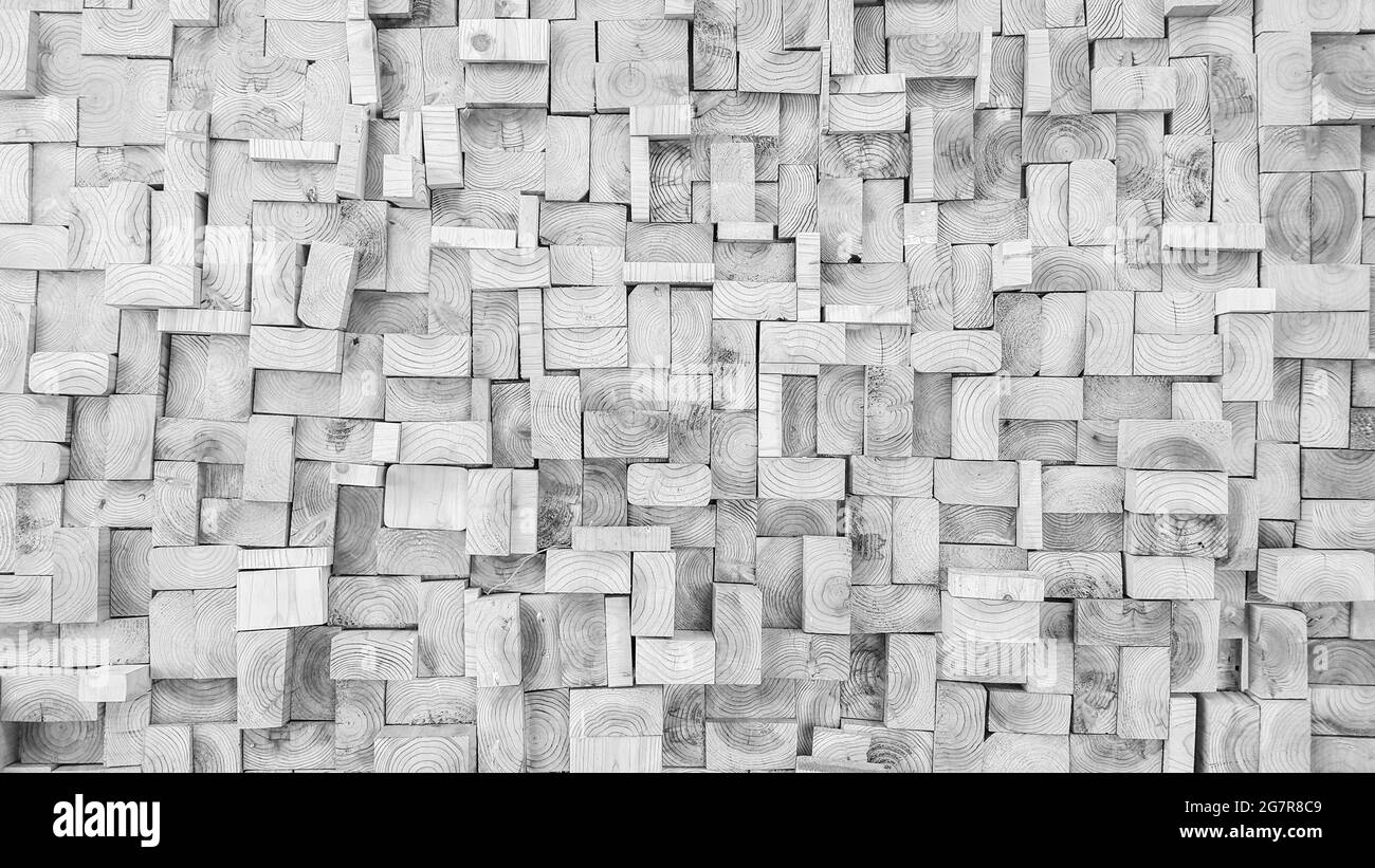 Pine tree square Black and White Stock Photos & Images - Alamy