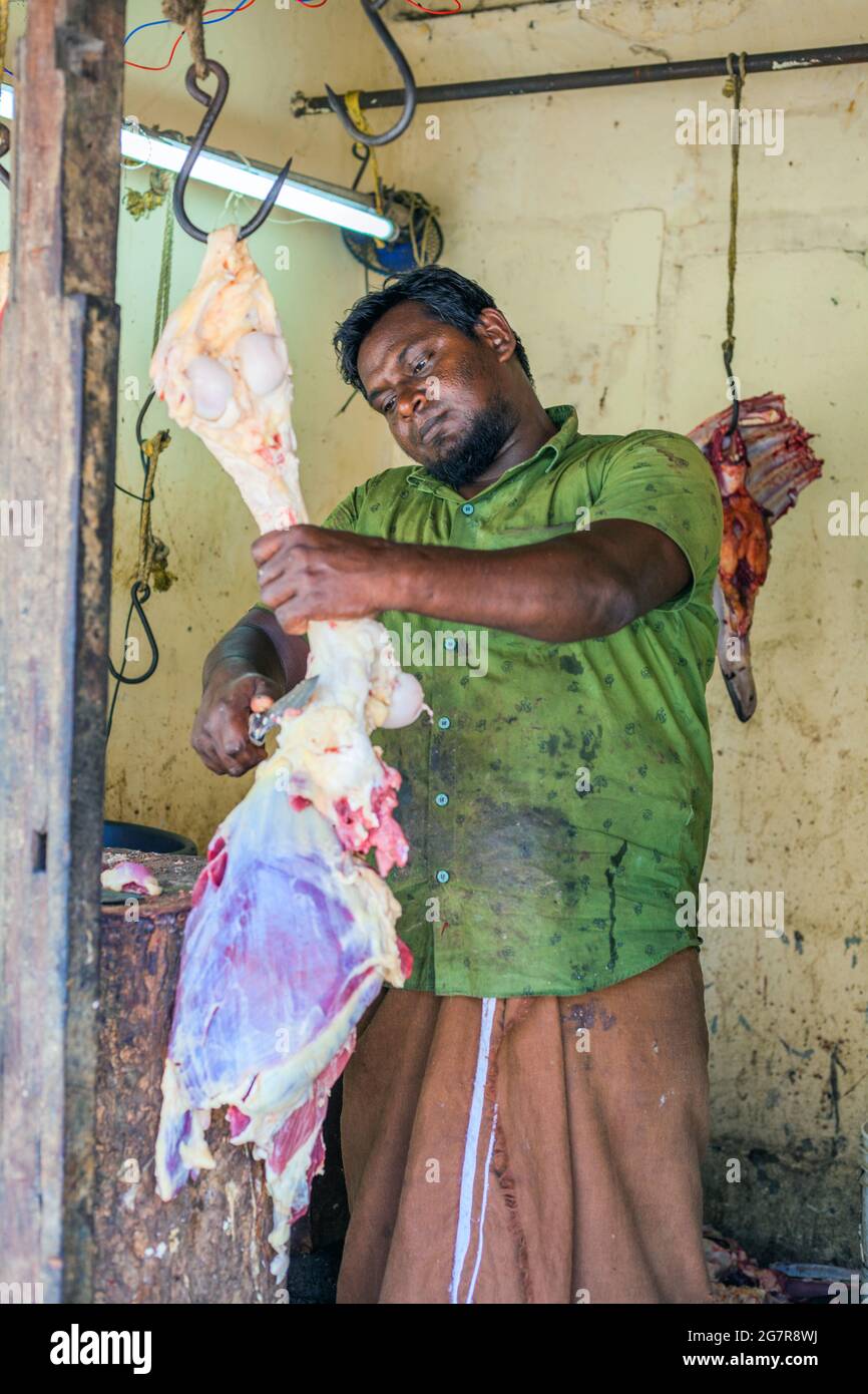 Close up portrait of butcher carving from raw red animal meat carcass hanging from meat hook in butcher's shop, Fort Kochi (Cochin), Kerala, India Stock Photo