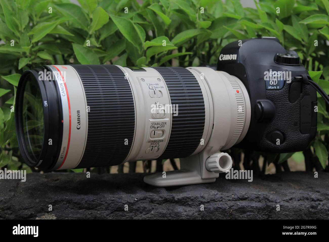 Canon 6D Mark II EF 70-200mm F2. 8L IS Stock Photo Alamy