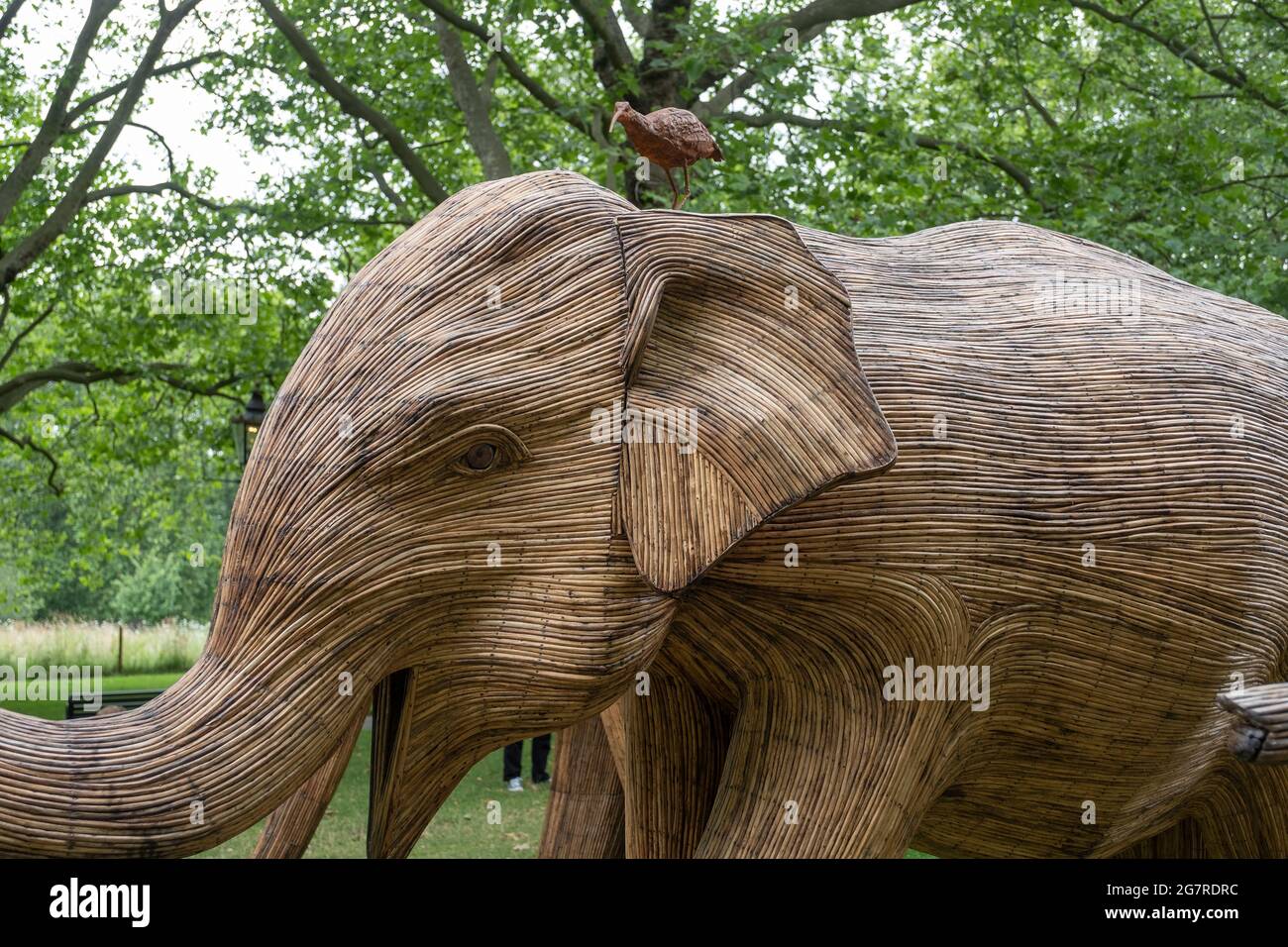 Life size herd of elephant sculptures in London’s Green Park Stock