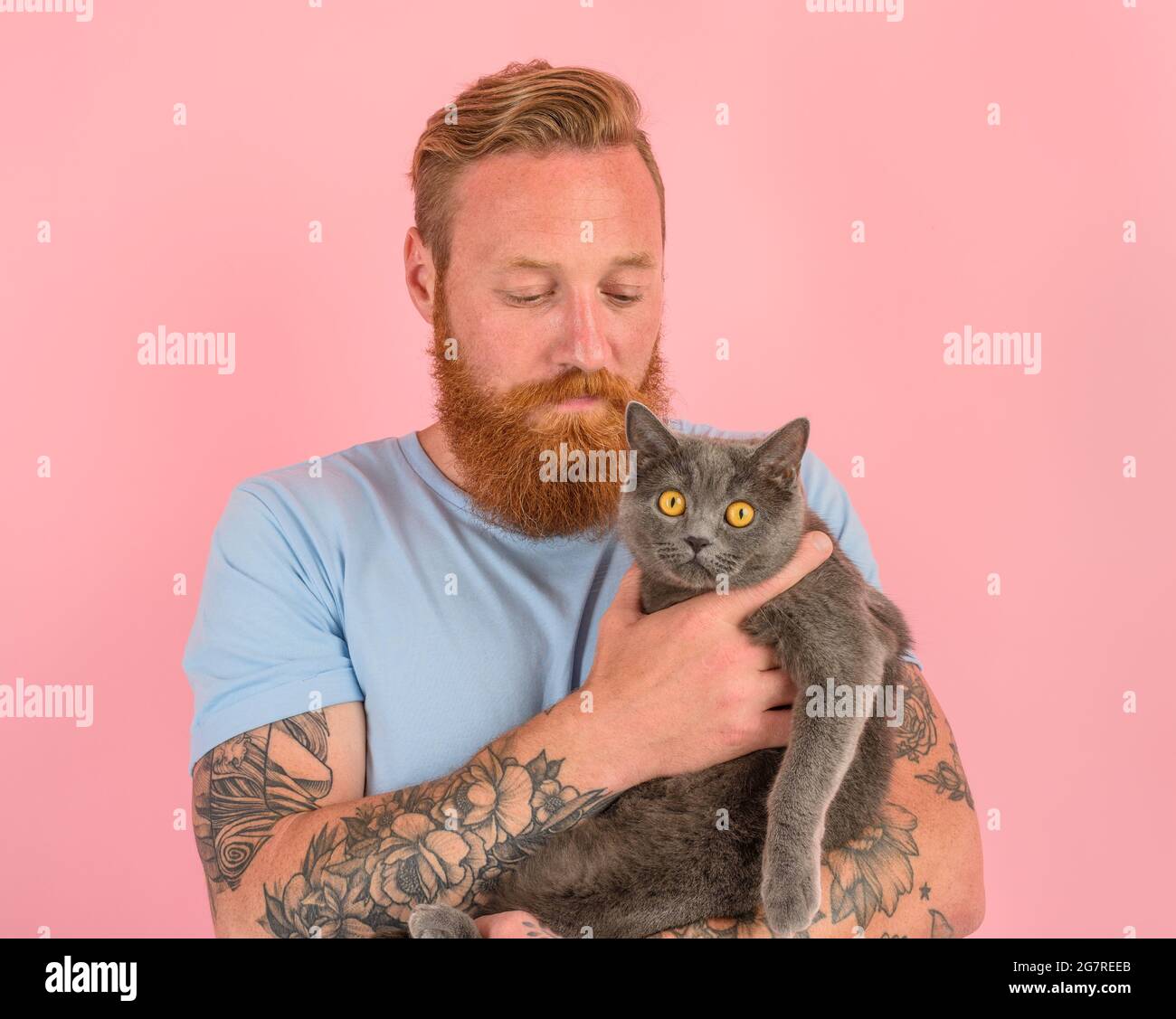 Cat beard hi-res stock photography and images - Alamy