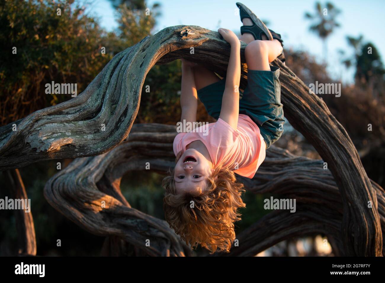 Child boy in park, climb on a tree rope Stock Photo