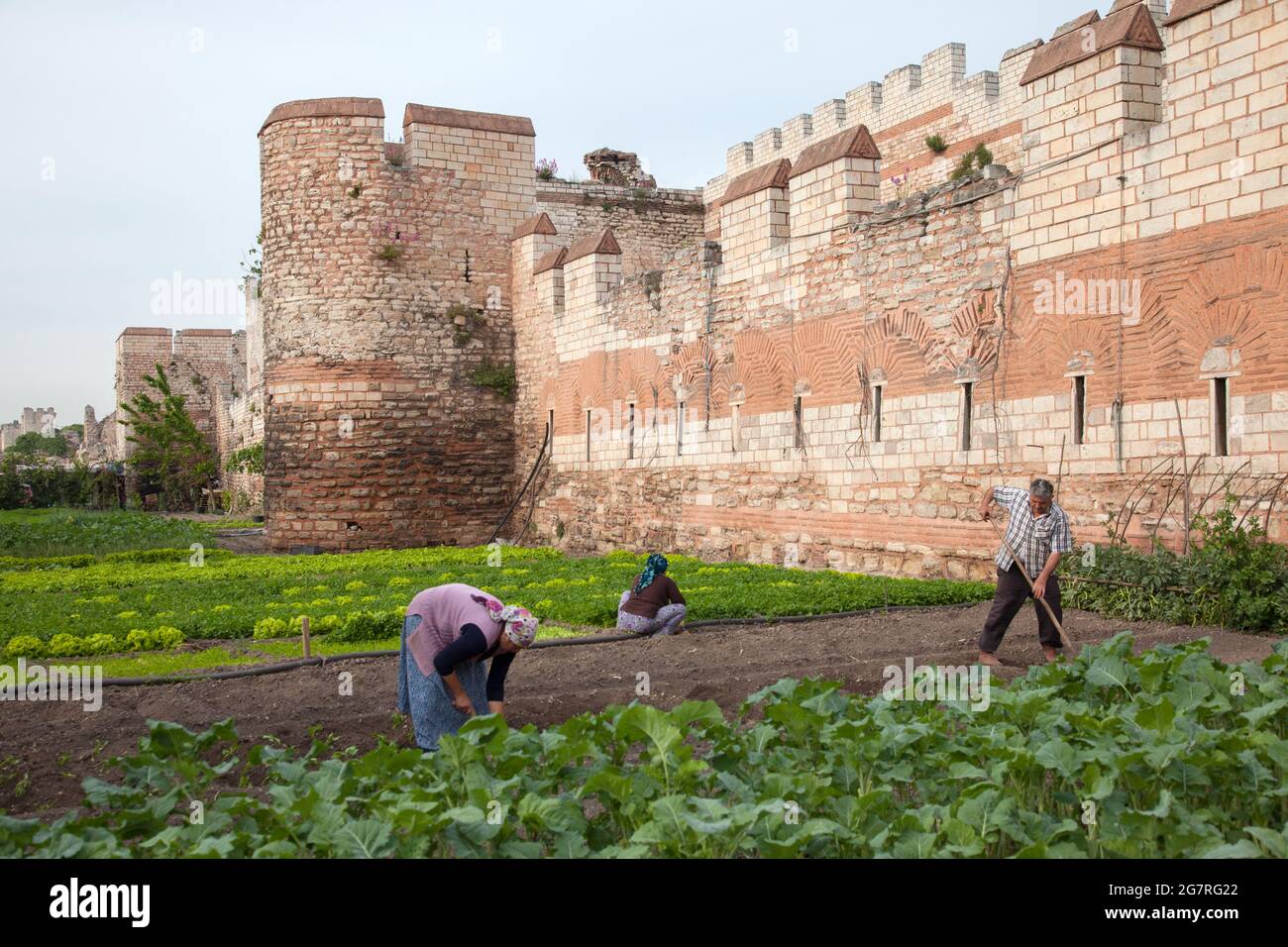 Fatih,Istanbul-Turkey - 05-20-2017 :View of historical Byzantine walls and vegetable garden Stock Photo