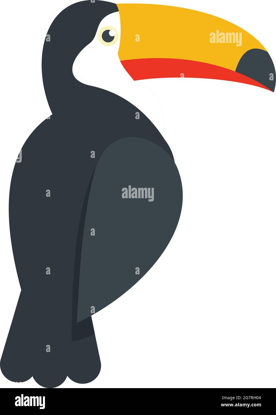 Tucan icon. Flat illustration of tucan vector icon isolated on white ...