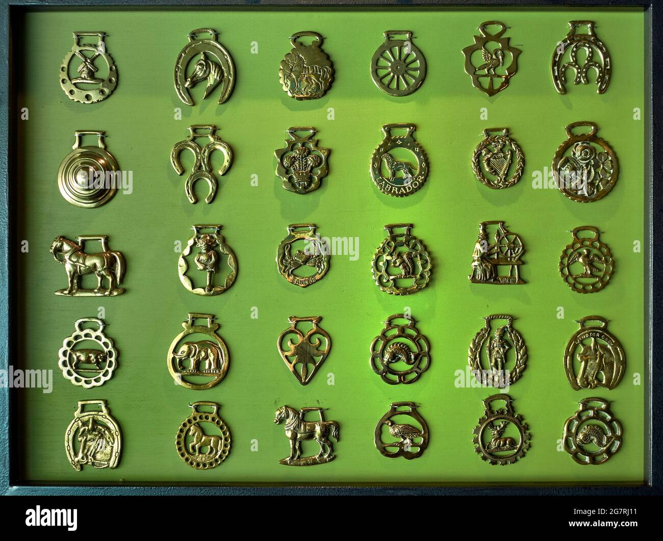 Horse brass. Collection of horse brasses mounted and framed. Stock Photo
