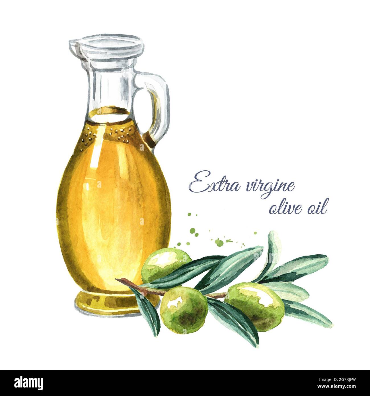 Bottle of fresh virgin olive oil with Green olives on the branch. Hand ...