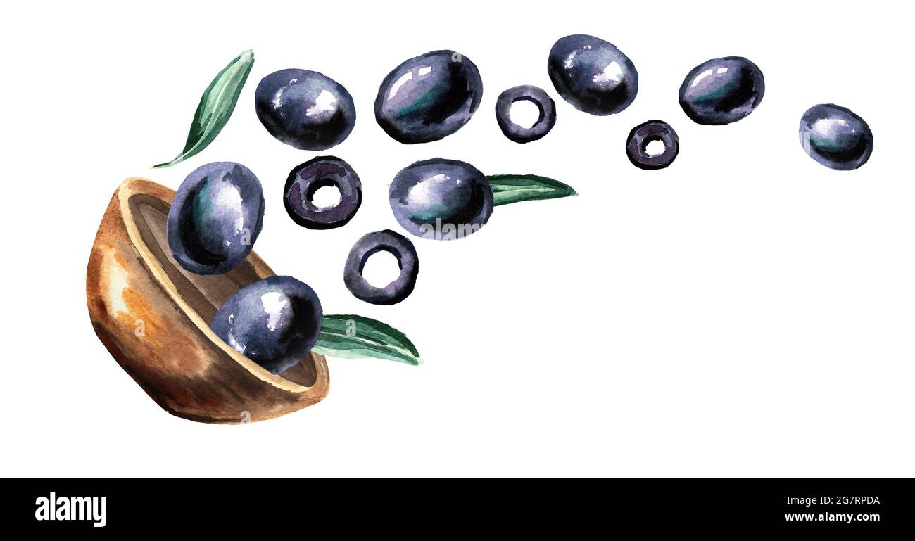 Bowl with ripe black olives. Hand drawn horizontal watercolor ...