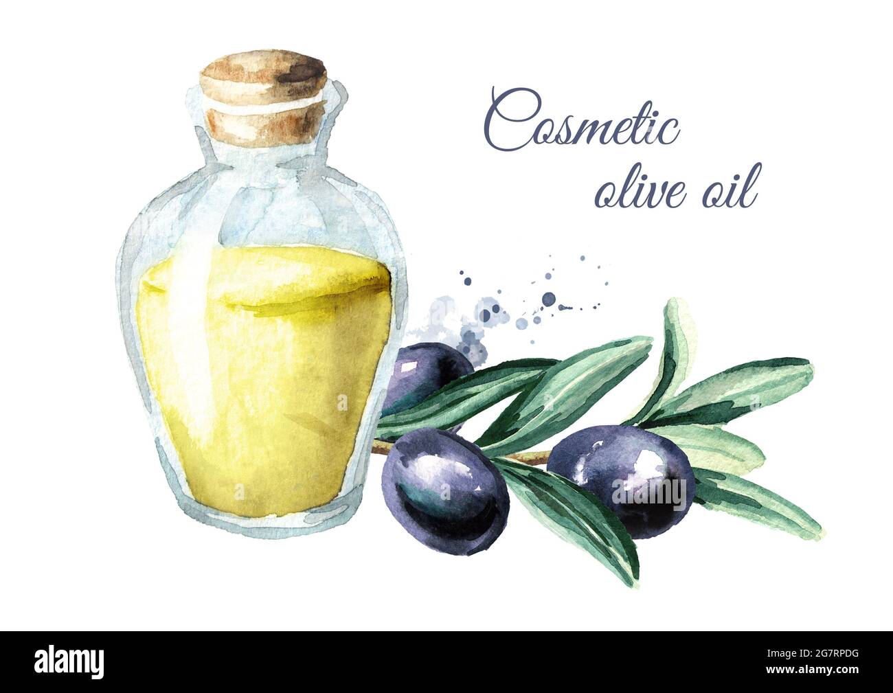 Glass bottle with cosmetic olive oil. Watercolor hand drawn ...
