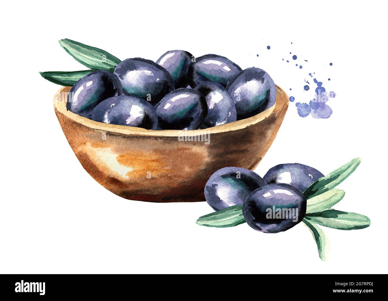 Bowl with ripe sweet black olives. Watercolor hand drawn illustration ...