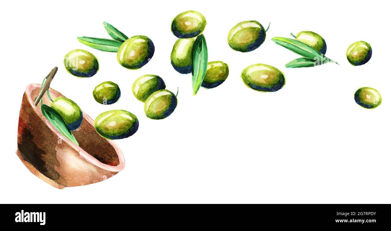 Bowl with green olives. Hand drawn horizontal watercolor illustration ...