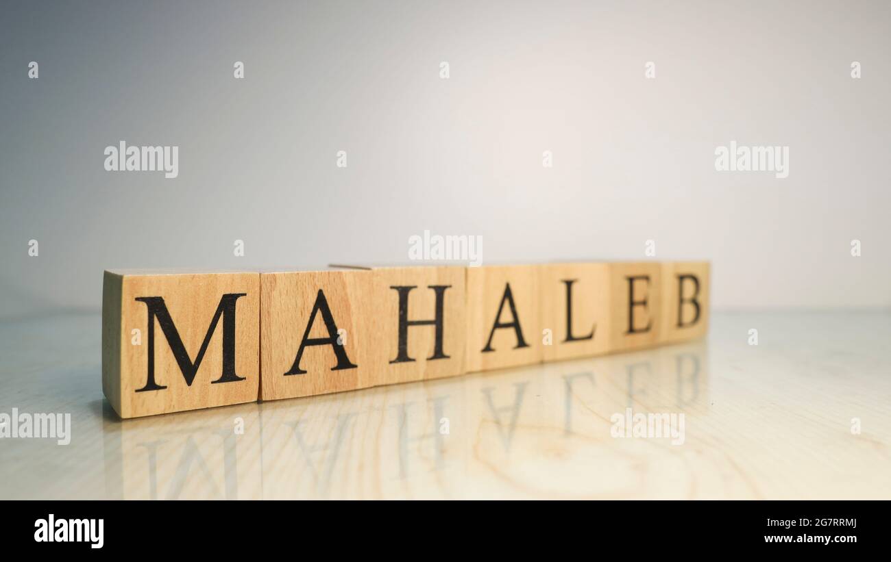 The word Mahaleb was created from wooden letter cubes. Gastronomy and spices. close up. Stock Photo