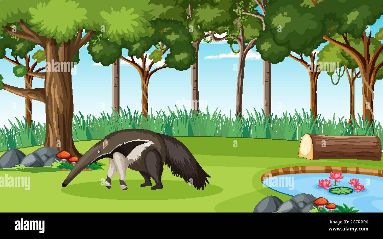 An anteater in forest scene with many trees illustration Stock Vector