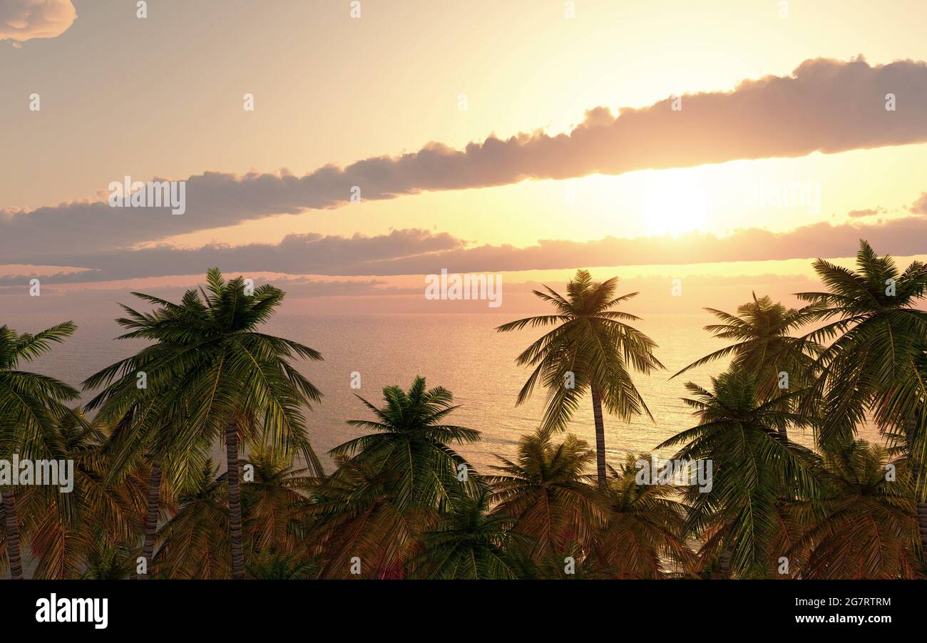 Palm trees by the sea Stock Photo - Alamy