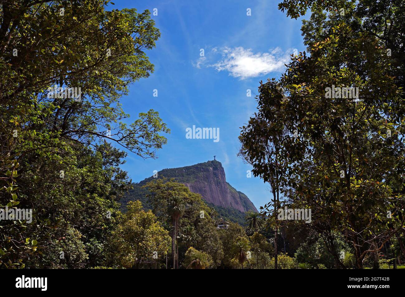 Tropical landscape with Corcovado Mountain in the background, Rio de Janeiro, Brazil Stock Photo