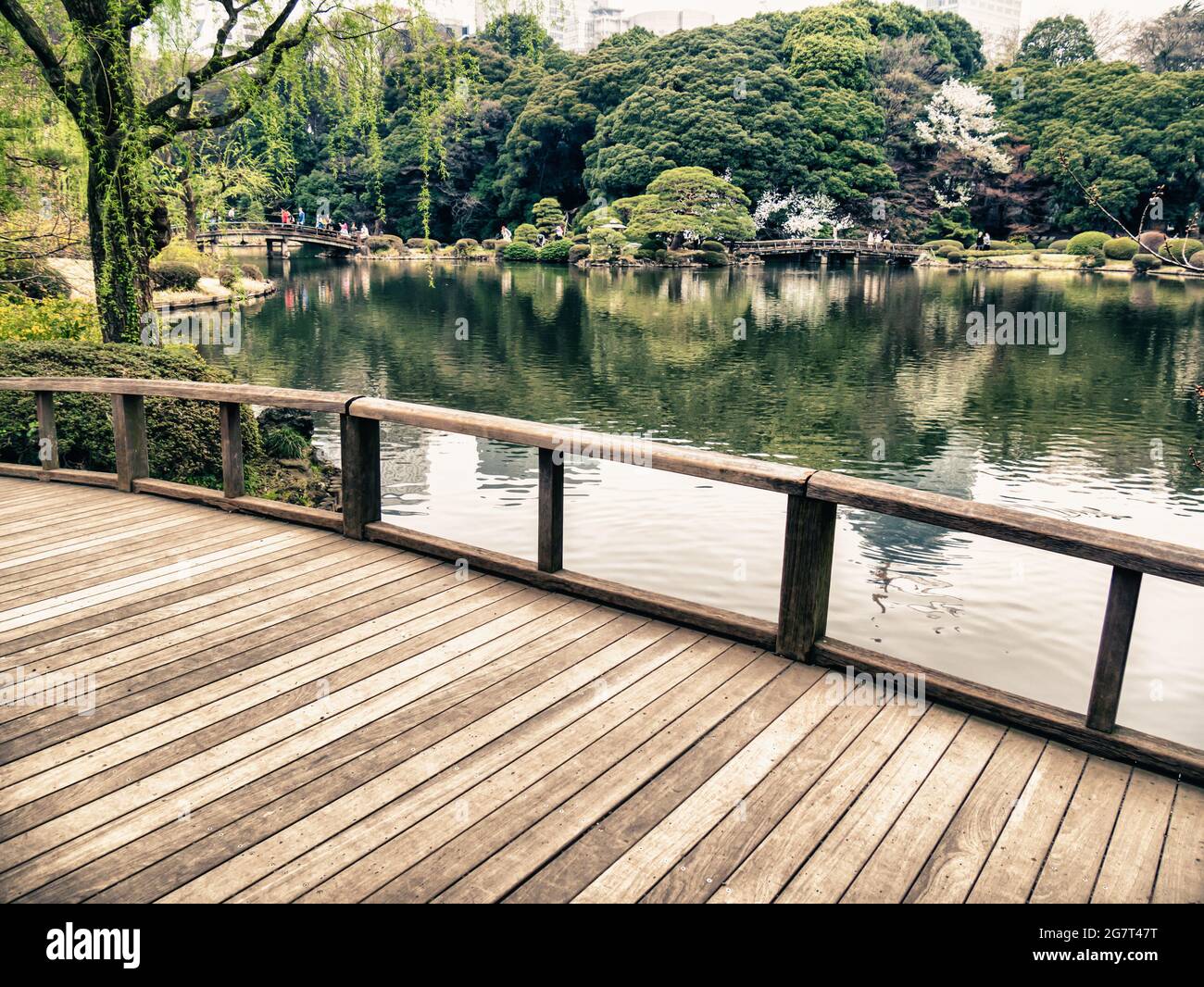 Shinjuku Gyoen garden in Tokyo, Japan Stock Photo - Alamy
