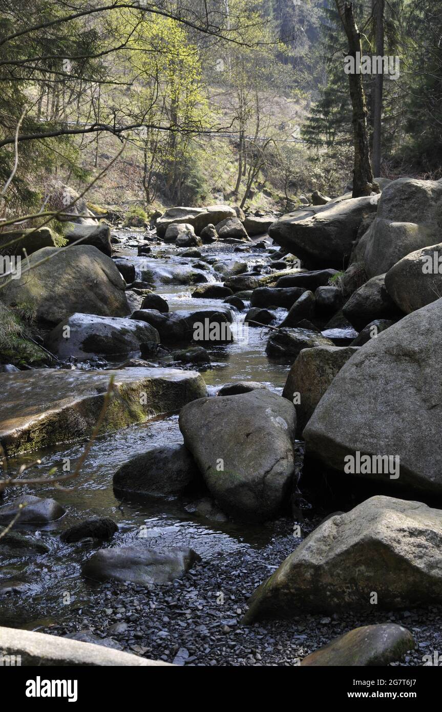 Vertical shot of a beautiful river full of big rocks in a park on a ...