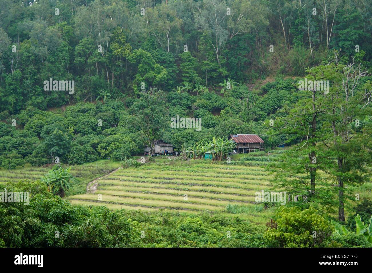 Rural agricultural area field hi-res stock photography and images - Alamy