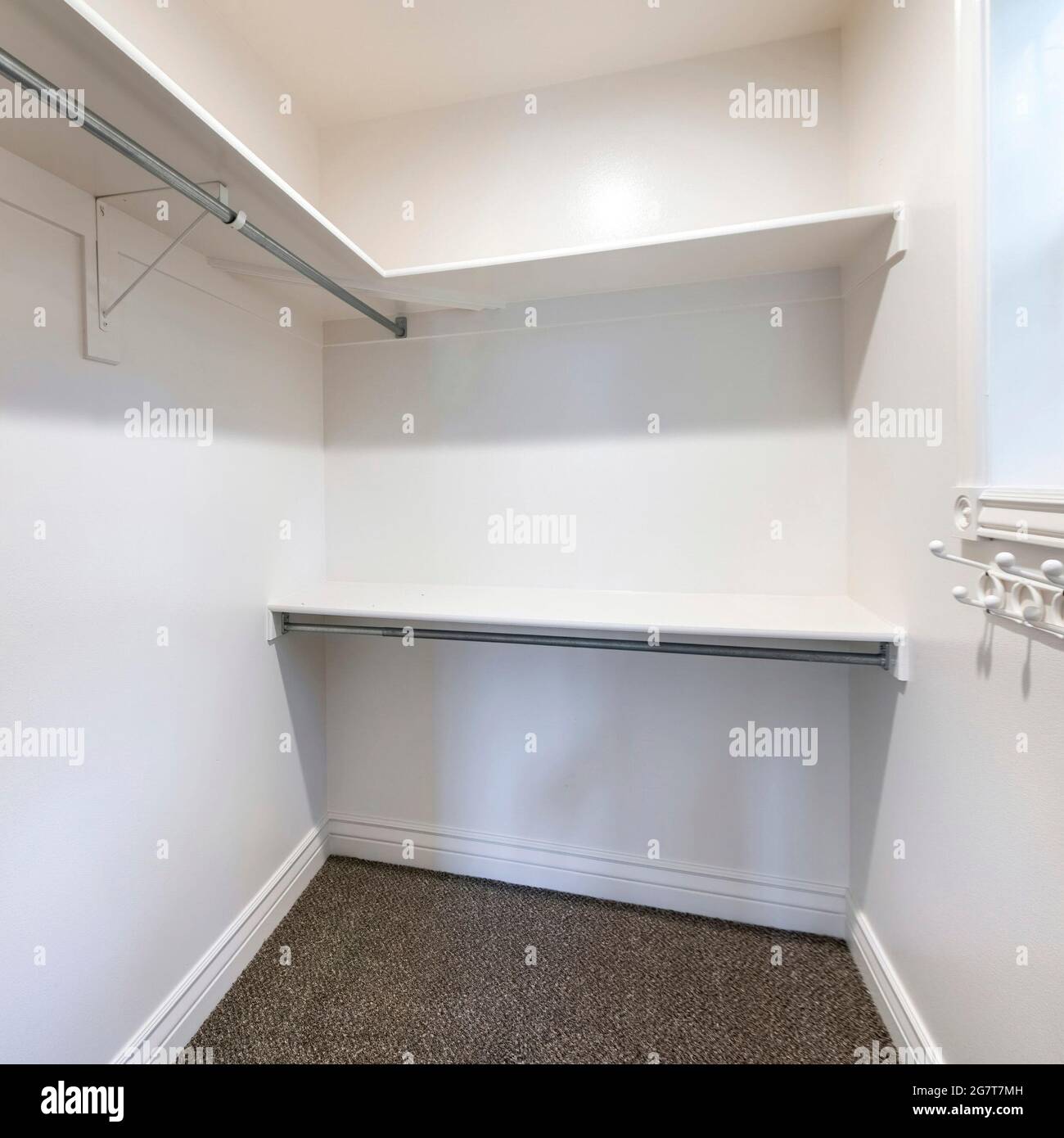 Square frame Walk in closet with dark brown carpet flooring and wall