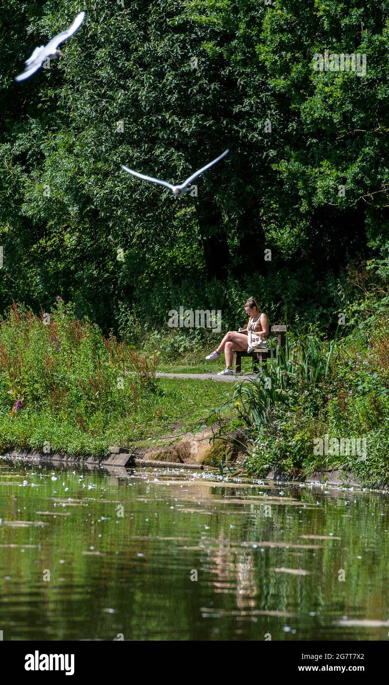 Bolton, Lancashire, UK, Friday July 16, 2021. A young woman relaxes in the sunshine on a bench surrounded by local wildlife at Moses Gate Country Park, Bolton. Forecasters are predicting that the hot weather will continue through the weekend and into next week in the north west of England. Credit: Paul Heyes/Alamy Live News Stock Photo