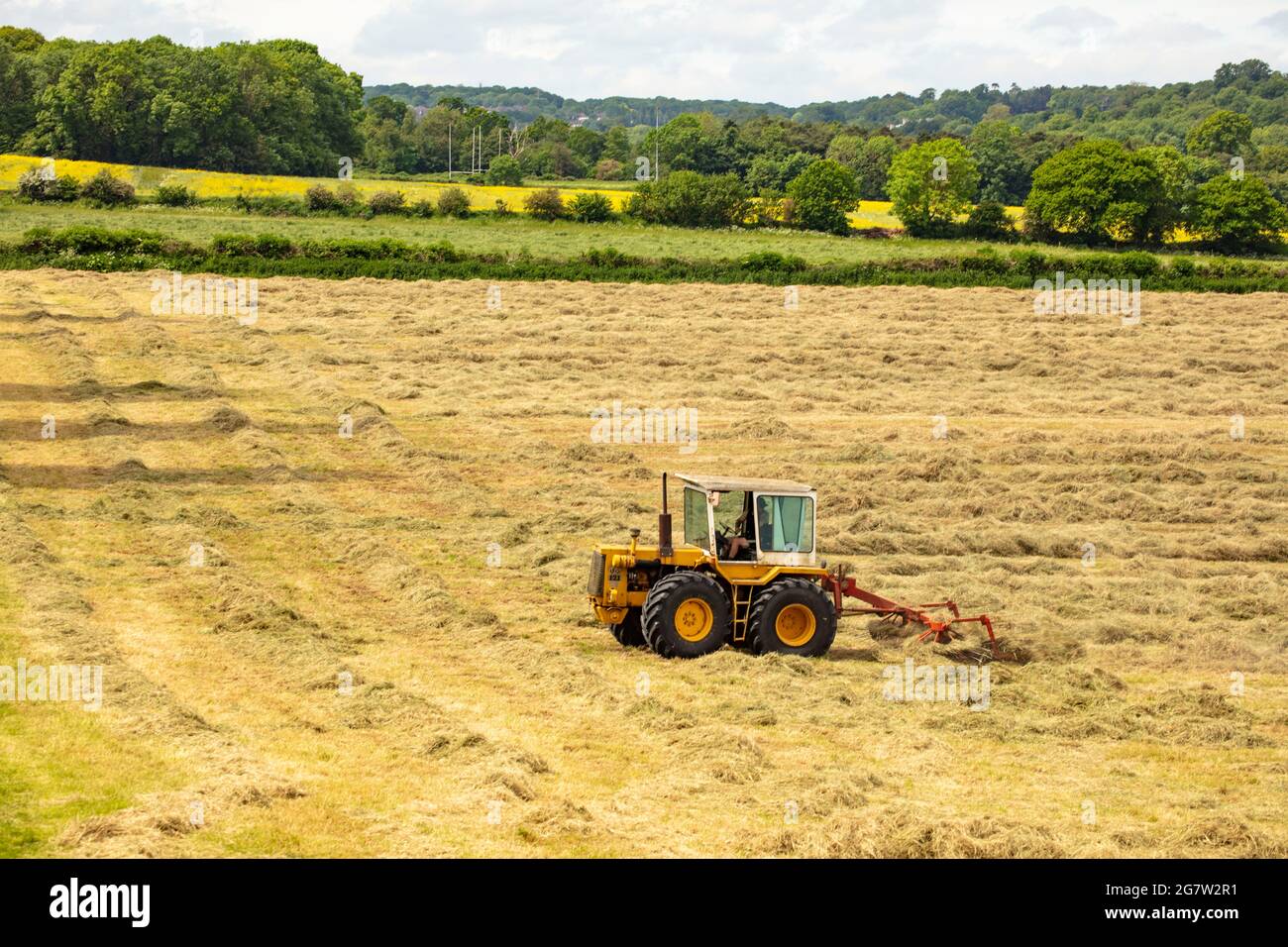 Haymaking with machines in a semi-urban farm, bright sunshine, blue sky ...