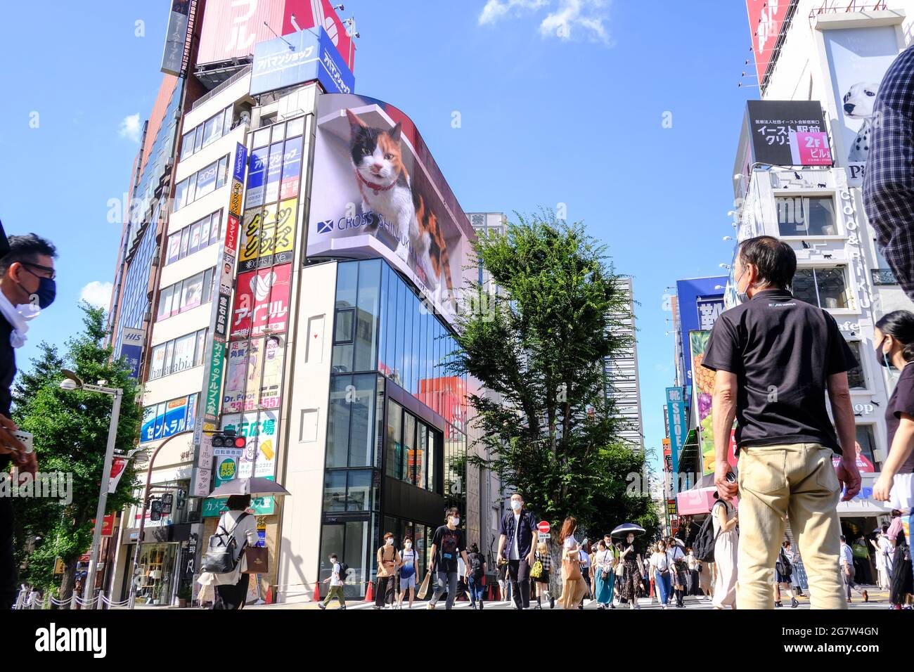 Tokyo, Japan. 16th July, 2021. A giant cat appears on Shinjuku's 3D billboard.At Tokyo's busy shopping and business area of Shinjuku, a giant 3D cat was displayed on a 4K billboard to greet people. "I thought it was a real cat," says a pedestrian while passing by and taking photos. Some students say the cat looks really cute and bigger than what they saw on social media. (Photo by James Matsumoto/SOPA Images/Sipa USA) Credit: Sipa US/Alamy Live News Stock Photo