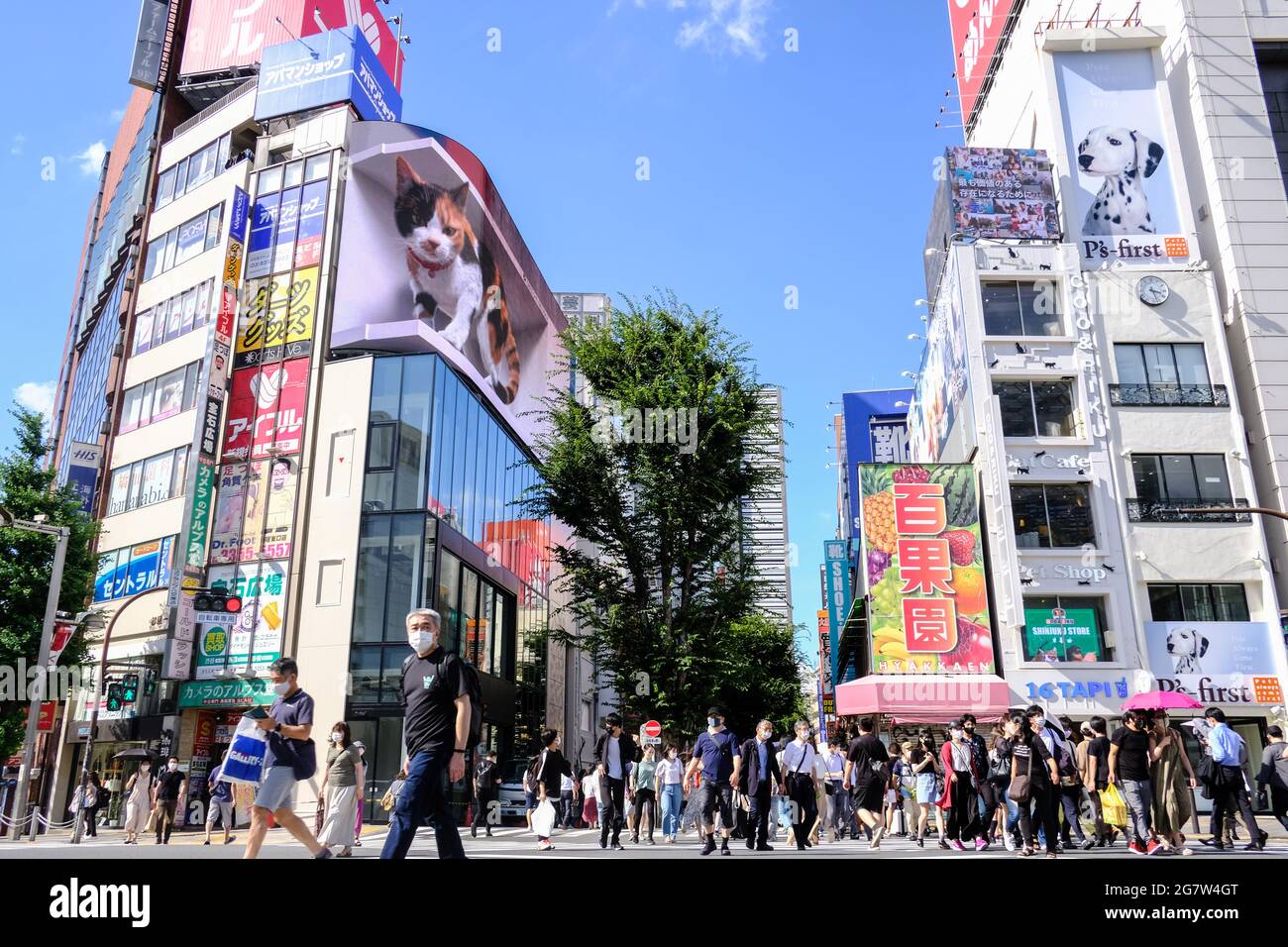 Tokyo, Japan. 16th July, 2021. A giant cat appears on Shinjuku's 3D billboard.At Tokyo's busy shopping and business area of Shinjuku, a giant 3D cat was displayed on a 4K billboard to greet people. "I thought it was a real cat," says a pedestrian while passing by and taking photos. Some students say the cat looks really cute and bigger than what they saw on social media. (Photo by James Matsumoto/SOPA Images/Sipa USA) Credit: Sipa US/Alamy Live News Stock Photo