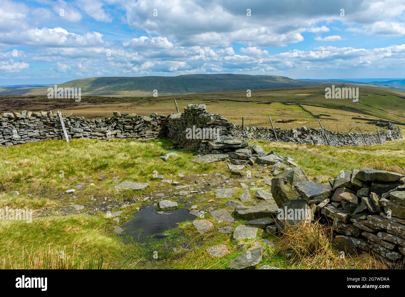 Great Whernside from Buckden Pike, Upper Wharfedale, Yorkshire Dales National Park, Yorkshire, England, UK Stock Photo