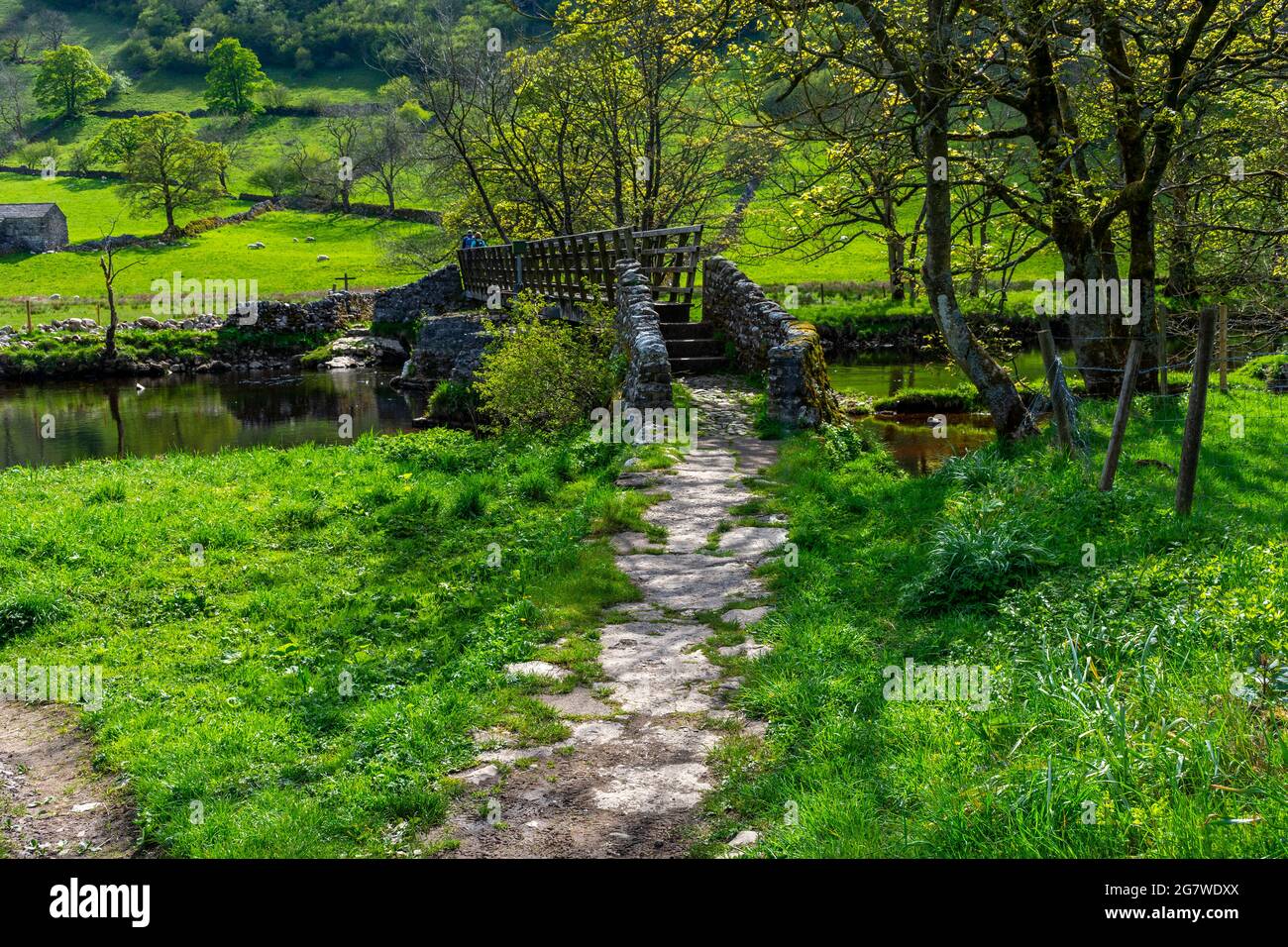 Track from the village of Starbotton leading to a footbridge over the river Wharfe, Wharfedale, Yorkshire Dales National Park, Yorkshire, England, UK Stock Photo