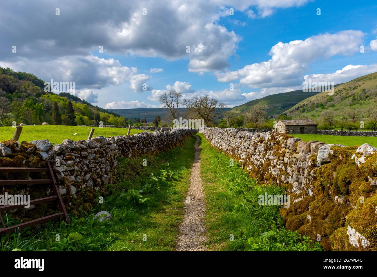 Dry stone walls on the Dales Way footpath, Upper Wharfedale, Yorkshire Dales National Park, Yorkshire, England, UK Stock Photo